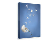 Leinwandbild Pusteblume XL
