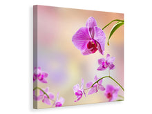 Laden Sie das Bild in den Galerie-Viewer, Leinwandbild Romantische Orchideen