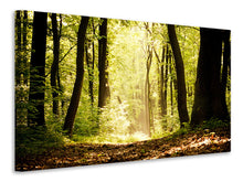 Laden Sie das Bild in den Galerie-Viewer, Leinwandbild Sonnenaufgang im Wald