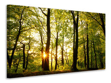 Laden Sie das Bild in den Galerie-Viewer, Leinwandbild Sonnenuntergang zwischen den Bäumen