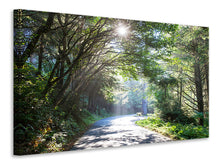 Laden Sie das Bild in den Galerie-Viewer, Leinwandbild Sonniger Waldweg