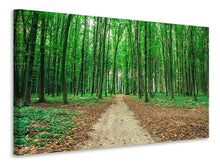 Laden Sie das Bild in den Galerie-Viewer, Leinwandbild Tannenwald