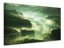 Laden Sie das Bild in den Galerie-Viewer, Leinwandbild Über den Wäldern