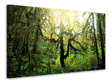 Laden Sie das Bild in den Galerie-Viewer, Leinwandbild Verträumter Wald