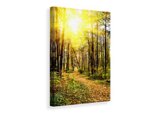Laden Sie das Bild in den Galerie-Viewer, Leinwandbild Waldspaziergang in der Herbstsonne