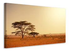 Laden Sie das Bild in den Galerie-Viewer, Leinwandbild Weideland in Kenia