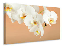 Laden Sie das Bild in den Galerie-Viewer, Leinwandbild Weisse Orchideenblüten