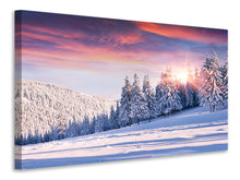 Laden Sie das Bild in den Galerie-Viewer, Leinwandbild Winterlandschaft