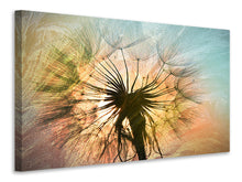 Laden Sie das Bild in den Galerie-Viewer, Leinwandbild XXL Pusteblume