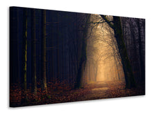 Laden Sie das Bild in den Galerie-Viewer, Leinwandbild Abendstimmung im Wald
