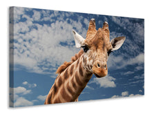 Laden Sie das Bild in den Galerie-Viewer, Leinwandbild Achtung Giraffe!
