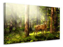 Laden Sie das Bild in den Galerie-Viewer, Leinwandbild Achtung Hirsch