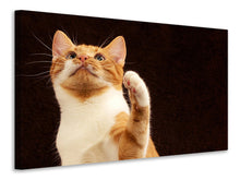 Laden Sie das Bild in den Galerie-Viewer, Leinwandbild Achtung kluge Katze