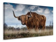 Laden Sie das Bild in den Galerie-Viewer, Leinwandbild Achtung Stier!