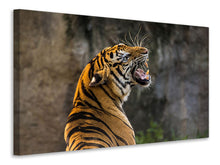 Laden Sie das Bild in den Galerie-Viewer, Leinwandbild Achtung Tiger