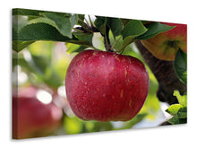 Laden Sie das Bild in den Galerie-Viewer, Leinwandbild Apfel in XXL