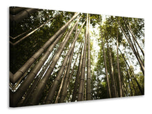 Laden Sie das Bild in den Galerie-Viewer, Leinwandbild Arashiyama Japan