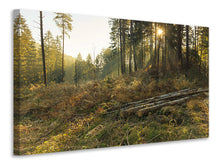 Laden Sie das Bild in den Galerie-Viewer, Leinwandbild Arbeiten im Wald