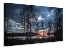 Laden Sie das Bild in den Galerie-Viewer, Leinwandbild Bäume am See
