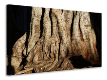 Laden Sie das Bild in den Galerie-Viewer, Leinwandbild Baum Close Up