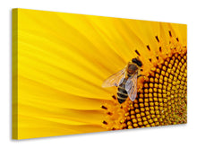 Laden Sie das Bild in den Galerie-Viewer, Leinwandbild Biene auf der Sonnenblume