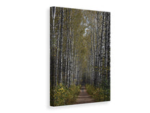 Laden Sie das Bild in den Galerie-Viewer, Leinwandbild Birken Allee
