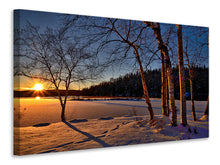 Laden Sie das Bild in den Galerie-Viewer, Leinwandbild Birken im Sonnenuntergang