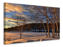 Laden Sie das Bild in den Galerie-Viewer, Leinwandbild Birken im Winter