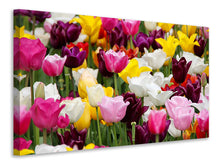 Laden Sie das Bild in den Galerie-Viewer, Leinwandbild Buntes Tulpenfeld