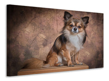 Laden Sie das Bild in den Galerie-Viewer, Leinwandbild Chihuahua Portrait