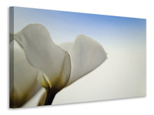 Laden Sie das Bild in den Galerie-Viewer, Leinwandbild Das Blatt einer Lilienblüte