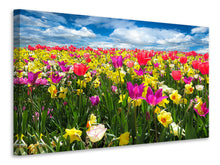 Laden Sie das Bild in den Galerie-Viewer, Leinwandbild Das Frühlingserwachen