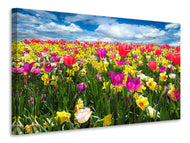Leinwandbild Das Frühlingserwachen