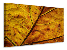 Laden Sie das Bild in den Galerie-Viewer, Leinwandbild Das Herbst Blatt