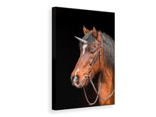 Laden Sie das Bild in den Galerie-Viewer, Leinwandbild Das letzte Einhorn