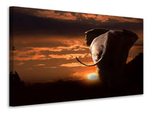 Laden Sie das Bild in den Galerie-Viewer, Leinwandbild Dem Sonnenuntergang entgegen