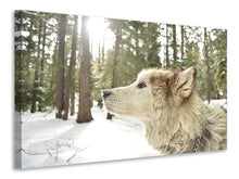Laden Sie das Bild in den Galerie-Viewer, Leinwandbild Der Alaskan Malamute
