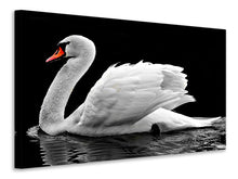 Laden Sie das Bild in den Galerie-Viewer, Leinwandbild Der anmutige Schwan