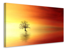 Laden Sie das Bild in den Galerie-Viewer, Leinwandbild Der Baum im Wasser