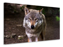 Laden Sie das Bild in den Galerie-Viewer, Leinwandbild Der böse Wolf