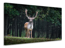 Laden Sie das Bild in den Galerie-Viewer, Leinwandbild Der Damhirsch 2