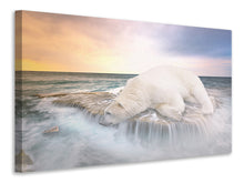 Laden Sie das Bild in den Galerie-Viewer, Leinwandbild Der Eisbär und das Meer