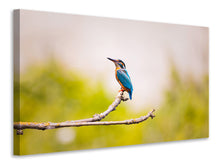 Laden Sie das Bild in den Galerie-Viewer, Leinwandbild Der Eisvogel