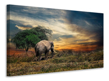 Laden Sie das Bild in den Galerie-Viewer, Leinwandbild Der Elefant im Sonnenuntergang