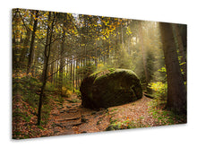 Laden Sie das Bild in den Galerie-Viewer, Leinwandbild Der Fels im Wald