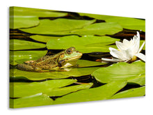 Laden Sie das Bild in den Galerie-Viewer, Leinwandbild Der Frosch und die Seerose