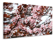 Laden Sie das Bild in den Galerie-Viewer, Leinwandbild Der Frühling ist da