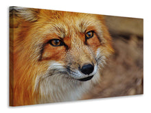 Laden Sie das Bild in den Galerie-Viewer, Leinwandbild Der Fuchs