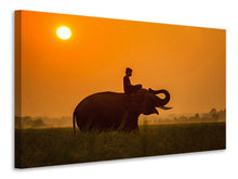 Laden Sie das Bild in den Galerie-Viewer, Leinwandbild Der heilige Elefant