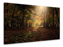 Laden Sie das Bild in den Galerie-Viewer, Leinwandbild Der Laubwald